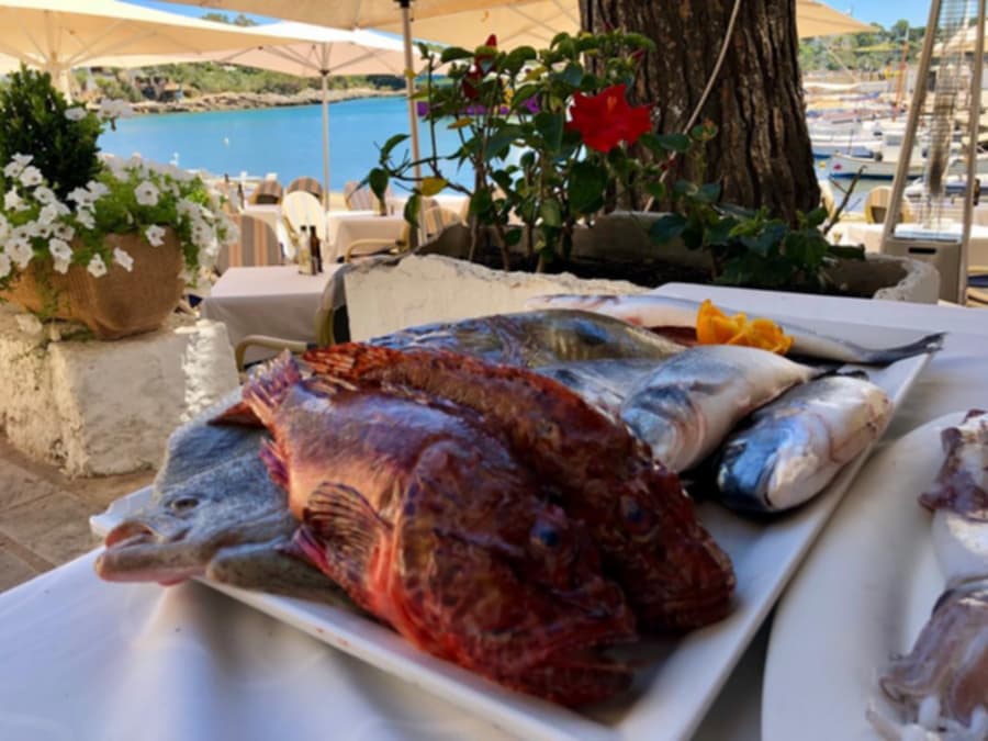 Bandeja con la selección de pescado fresco presentada junto a la mesa, con el puerto al fondo